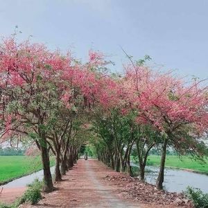 Meet your Posher, Duy